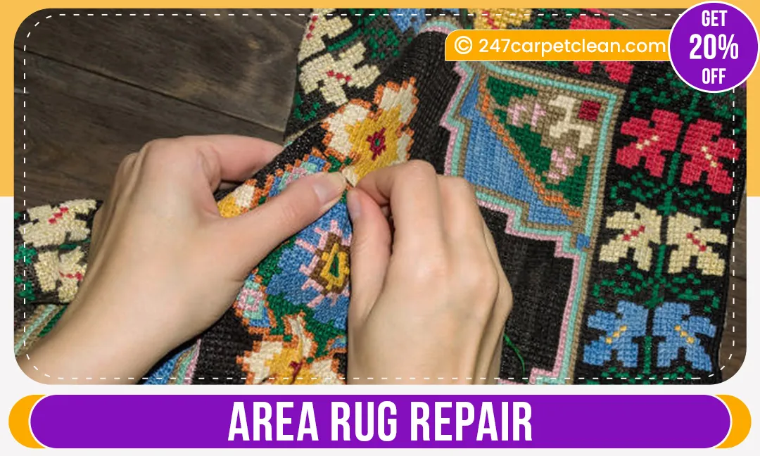 carpet cleaners in Bronx, carpet cleaning in Bronx, carpet cleaning bronx, carpet cleaners in bronx, commercial carpet cleaning, commercial carpet cleaning in bronx,carpet cleaning in bronx, bronx rug cleaners, rug cleaning services in bronx, same day carpet cleaning, same day rug cleaning