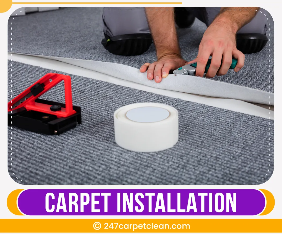 carpet cleaners in Bronx, carpet cleaning in Bronx, carpet cleaning bronx, carpet cleaners in bronx, commercial carpet cleaning, commercial carpet cleaning in bronx,carpet cleaning in bronx, bronx rug cleaners, rug cleaning services in bronx, same day carpet cleaning, same day rug cleaning