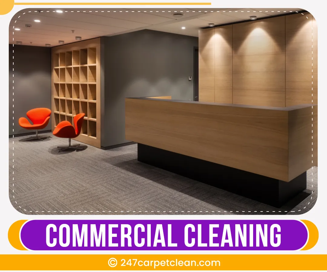 carpet cleaners in Bronx, carpet cleaning in Bronx, carpet cleaning bronx, carpet cleaners in bronx, commercial carpet cleaning, commercial carpet cleaning in bronx,carpet cleaning in bronx, bronx rug cleaners, rug cleaning services in bronx, same day carpet cleaning, same day rug cleaning