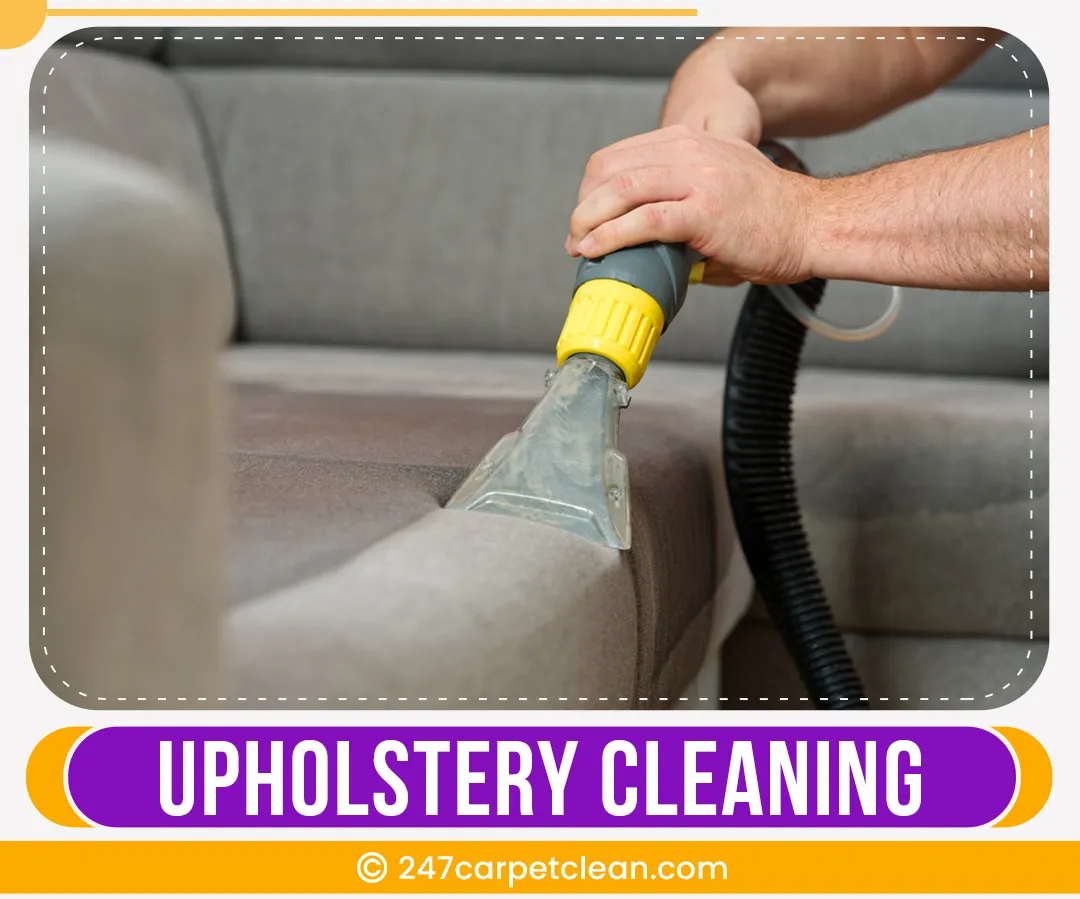 carpet cleaners in Bronx, carpet cleaning in Bronx, carpet cleaning bronx, carpet cleaners in bronx, commercial carpet cleaning, commercial carpet cleaning in bronx,carpet cleaning in bronx, bronx rug cleaners, rug cleaning services in bronx, same day carpet cleaning, same day rug cleaning