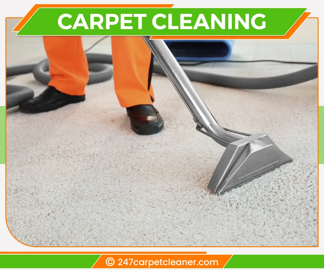carpet cleaners in Staten Island, carpet cleaning in Staten Island, carpet cleaning staten island, carpet cleaners in staten island,  commercial carpet cleaning, commercial carpet cleaning in staten island,carpet cleaning in staten island,  staten island rug cleaners, rug cleaning services in staten island, same day carpet cleaning, same day rug cleaning