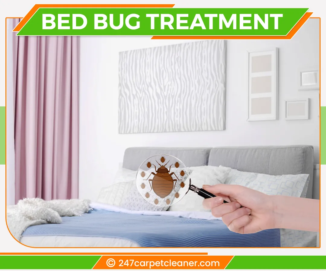 carpet cleaners in Staten Island, carpet cleaning in Staten Island, carpet cleaning staten island, carpet cleaners in staten island,  commercial carpet cleaning, commercial carpet cleaning in staten island,carpet cleaning in staten island,  staten island rug cleaners, rug cleaning services in staten island, same day carpet cleaning, same day rug cleaning