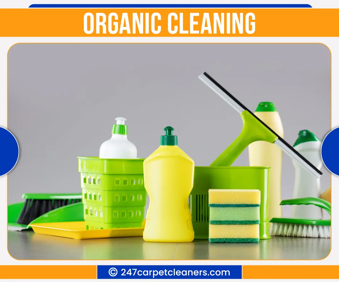 carpet cleaners in Nassau, carpet cleaning in Nassau, carpet cleaning nassau, carpet cleaners in nassau,  commercial carpet cleaning, commercial carpet cleaning in nassau,carpet cleaning in nassau,  nassau rug cleaners, rug cleaning services in nassau, same day carpet cleaning, same day rug cleaning