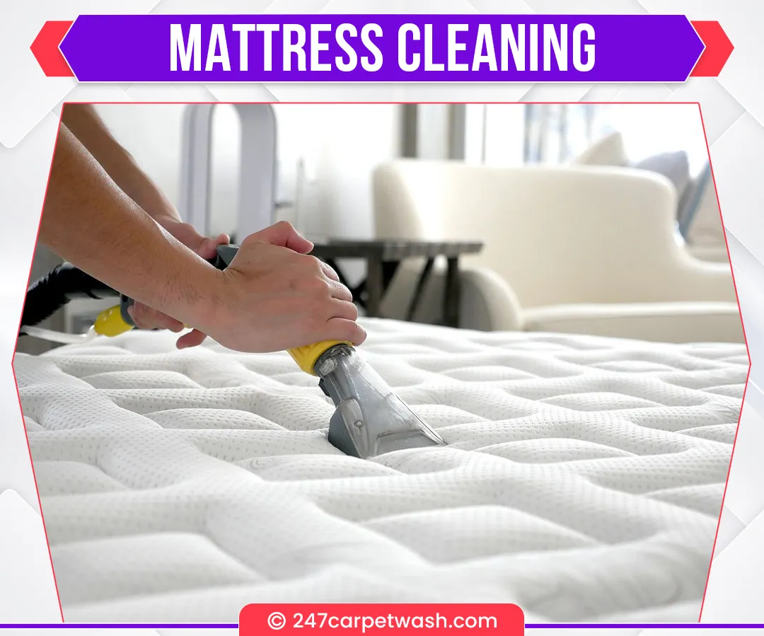 carpet cleaners in Brooklyn, carpet cleaning in Brooklyn, carpet cleaning bkln, carpet cleaners in brooklyn,  commercial carpet cleaning, commercial carpet cleaning in brooklyn,carpet cleaning in brooklyn,  brooklyn rug cleaners, rug cleaning services in brooklyn, same day carpet cleaning, same day rug cleaning