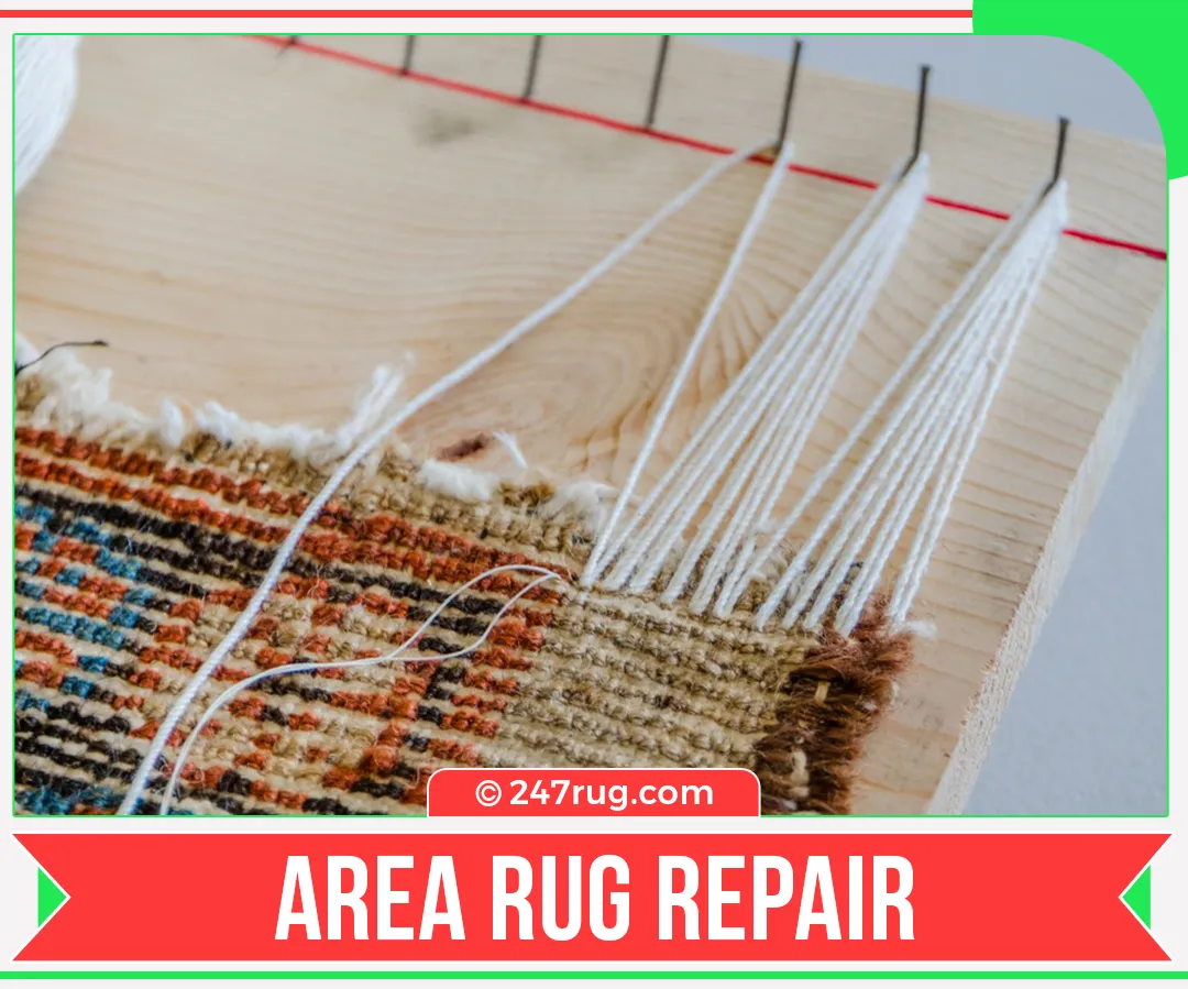 carpet cleaners in Nassau, carpet cleaning in Nassau, carpet cleaning bkln, carpet cleaners in brooklyn,  commercial carpet cleaning, commercial carpet cleaning in Nassau,carpet cleaning in Nassau,  Nassau rug cleaners, rug cleaning services in Nassau, same day carpet cleaning, same day rug cleaning