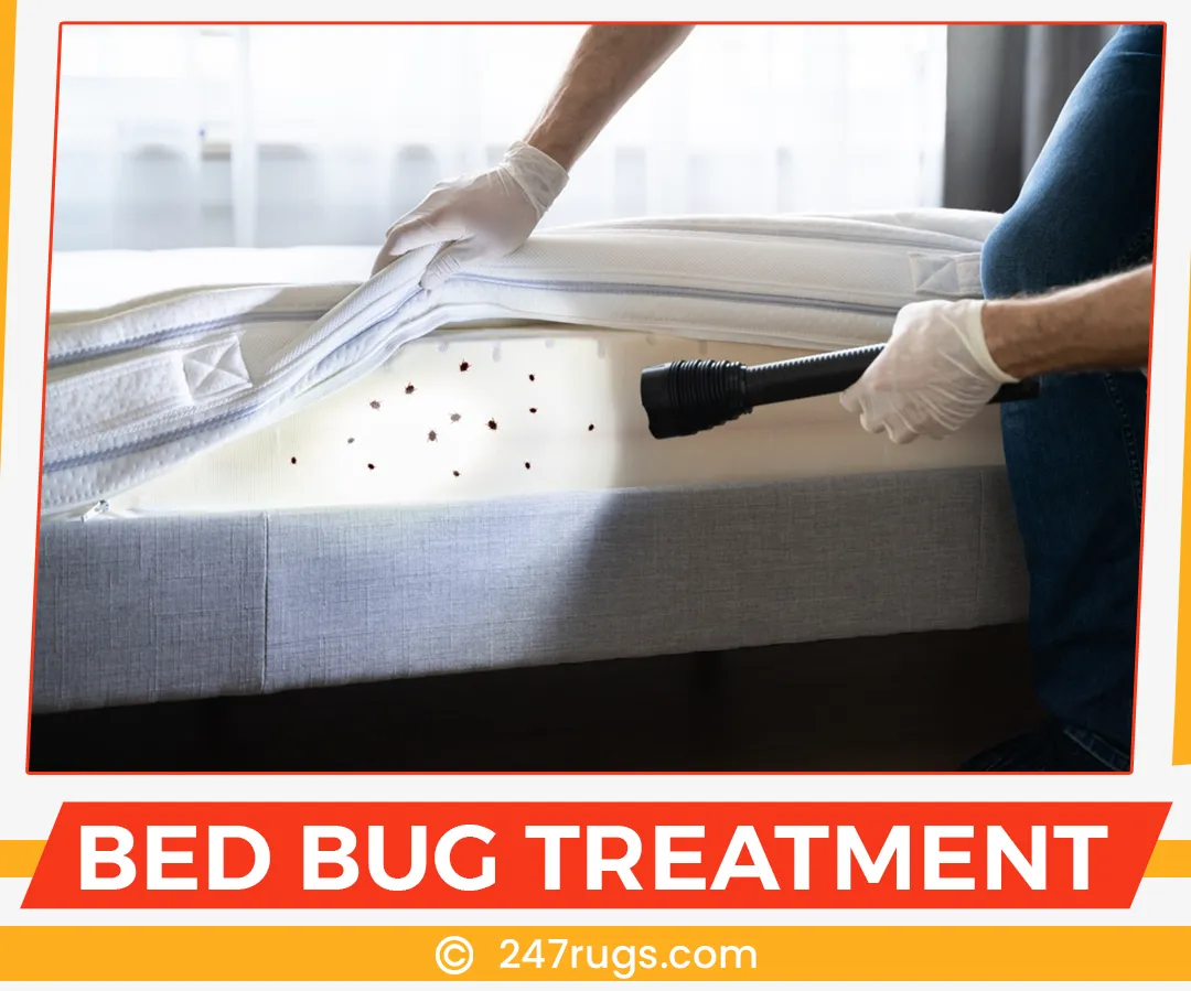 carpet cleaning in suffolk, carpet cleaning suffolk, carpet cleaners in suffolk, carpet cleaners in suffolk, commercial carpet cleaning, commercial carpet cleaning in suffolk, suffolk rug cleaners, rug cleaning services in suffolk, same day carpet cleaning, same day rug cleaning in suffolk