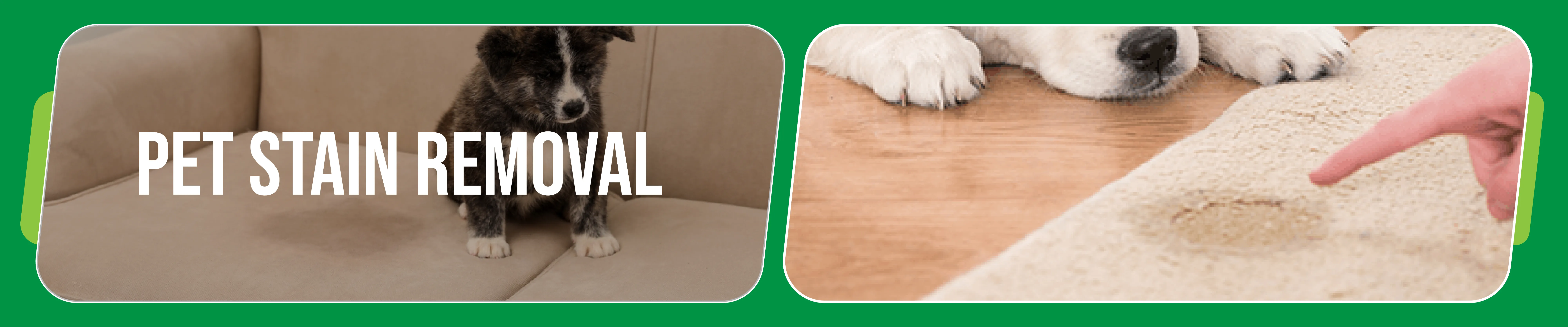 carpet cleaning in Staten Island, carpet cleaner in Staten Island, carpet cleaners in Staten Island, carpet cleaners in Staten Island, drapery cleaners in Staten Island, carpet cleaning in Staten Island, mattress cleaning in Staten Island, mattress cleaners in Staten Island, commercial carpet cleaning, commercial carpet cleaners in Staten Island, Staten Island rug cleaners, rug cleaning services in Staten Island same day carpet cleaning, same day rug cleaning