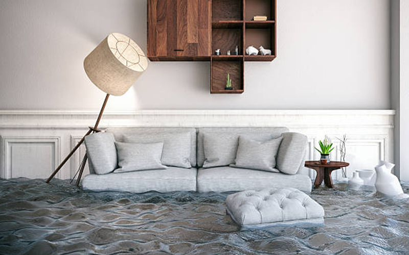 carpet cleaning in Nassau, carpet cleaner in Nassau, carpet cleaners in Nassau, carpet cleaners in Nassau, drapery cleaners in Nassau, carpet cleaning in Nassau, mattress cleaning in Nassau, mattress cleaners in Nassau, commercial carpet cleaning,commercial carpet cleaners in Nassau , Nassau rug cleaners, rug cleaning services in Nassau same day carpet cleaning, same day rug cleaning