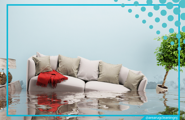 carpet cleaning in NJ, carpet cleaner in NJ, carpet cleaners in NJ, carpet cleaners in NJ, drapery cleaners in NJ, carpet cleaning in NJ, mattress cleaning in NJ, mattress cleaners in NJ, commercial carpet cleaning, commercial carpet cleaners in NJ, NJ rug cleaners, rug cleaning services in NJ same day carpet cleaning, same day rug cleaning