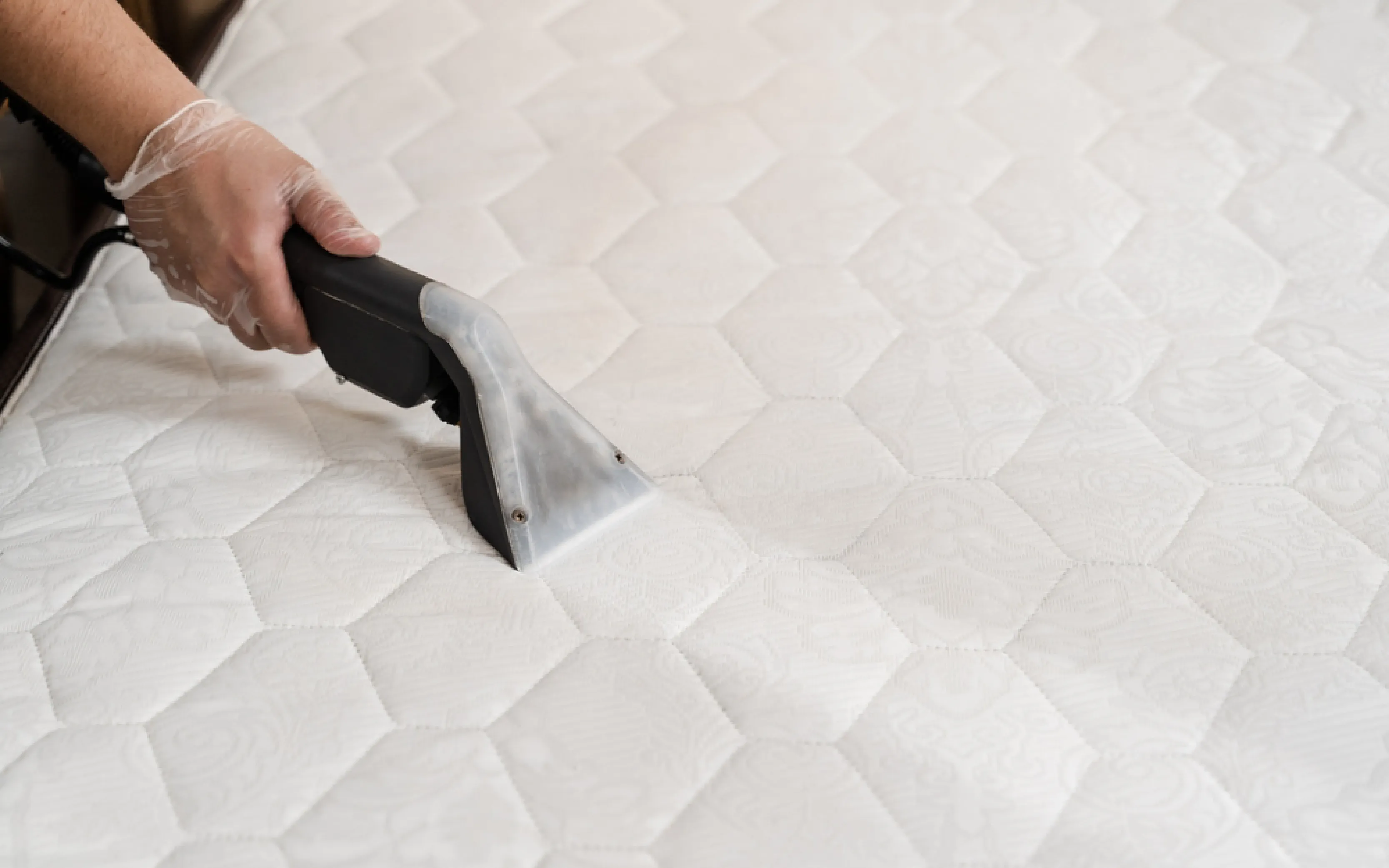 carpet cleaning in queens, carpet cleaning queens, carpet cleaners in queens, carpet cleaners in queens, commercial carpet cleaning, commercial carpet cleaning in queens, queens rug cleaners, rug cleaning services in queens, same day carpet cleaning, same day rug cleaning in queens