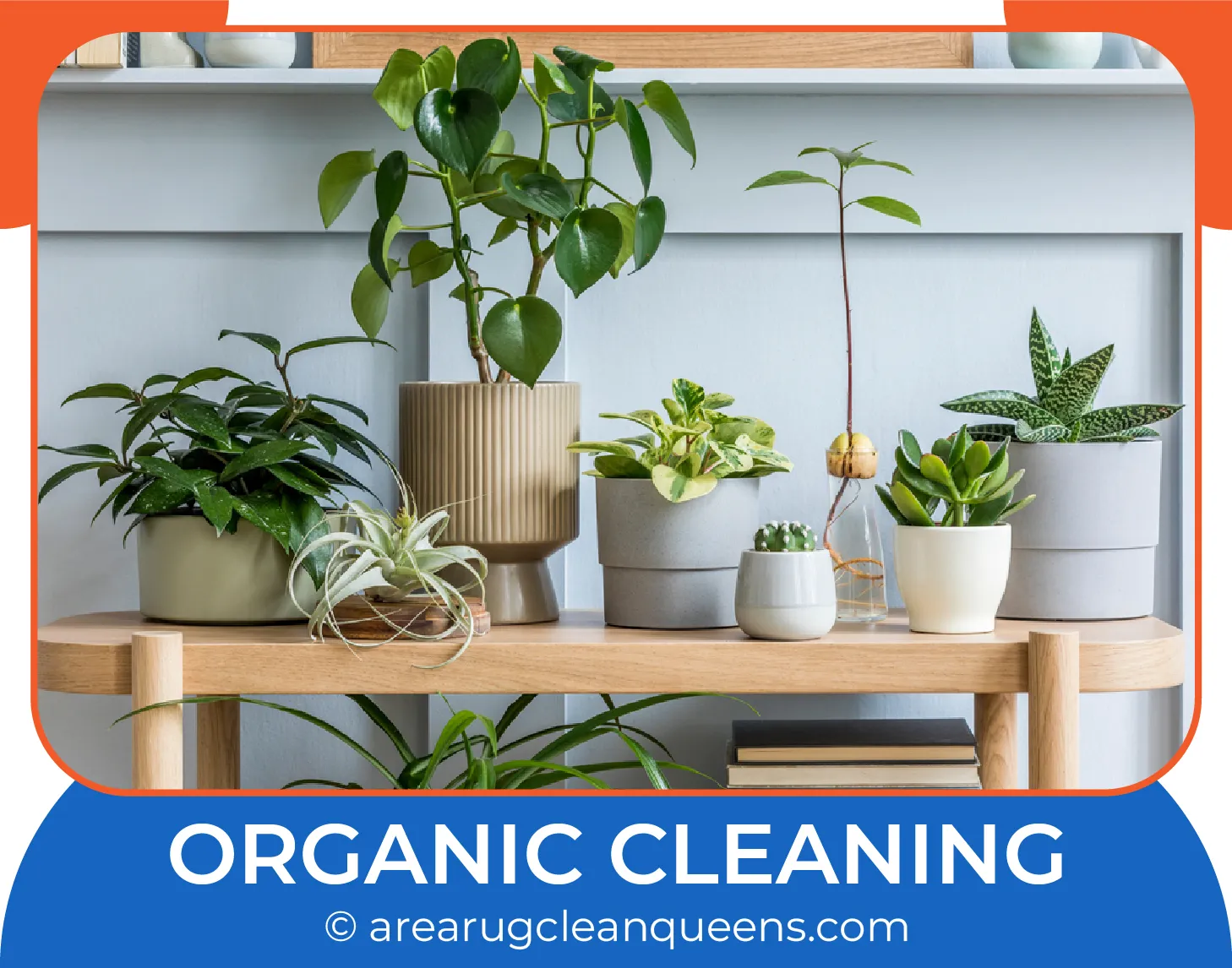 carpet cleaning in queens, carpet cleaning queens, carpet cleaners in queens, carpet cleaners in queens, commercial carpet cleaning, commercial carpet cleaning in queens, queens rug cleaners, rug cleaning services in queens, same day carpet cleaning, same day rug cleaning in queens