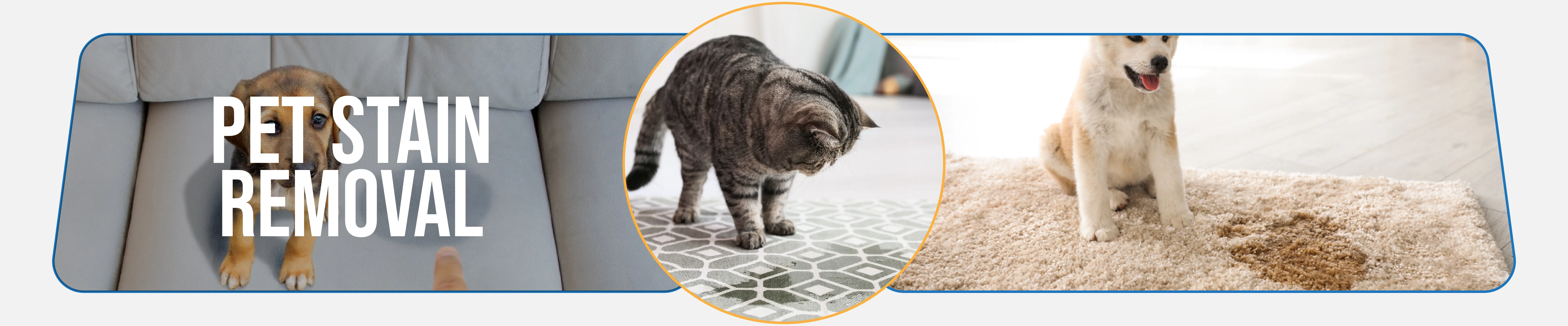 carpet cleaning in queens, carpet cleaning queens, carpet cleaners in queens, carpet cleaners in queens, commercial carpet cleaning, commercial carpet cleaning in queens, queens rug cleaners, rug cleaning services in queens, same day carpet cleaning, same day rug cleaning in queens