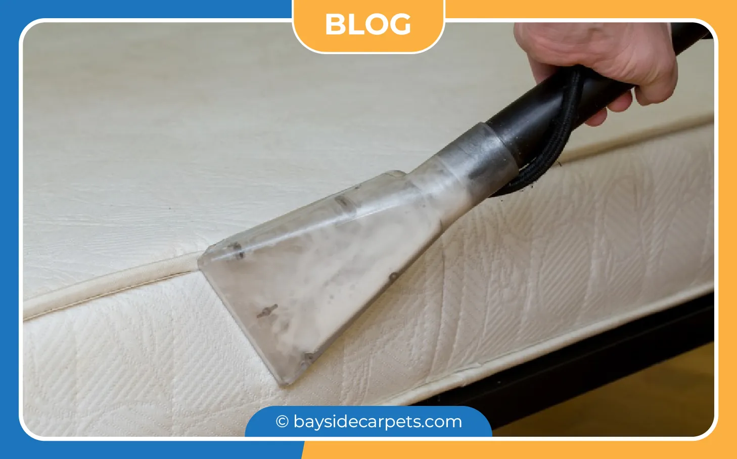 carpet cleaning in queens, carpet cleaning queens, carpet cleaners in queens, carpet cleaners in queens, commercial carpet cleaning, commercial carpet cleaning in queens, queens rug cleaners, rug cleaning services in queens, same day carpet cleaning, same day rug cleaning in queens