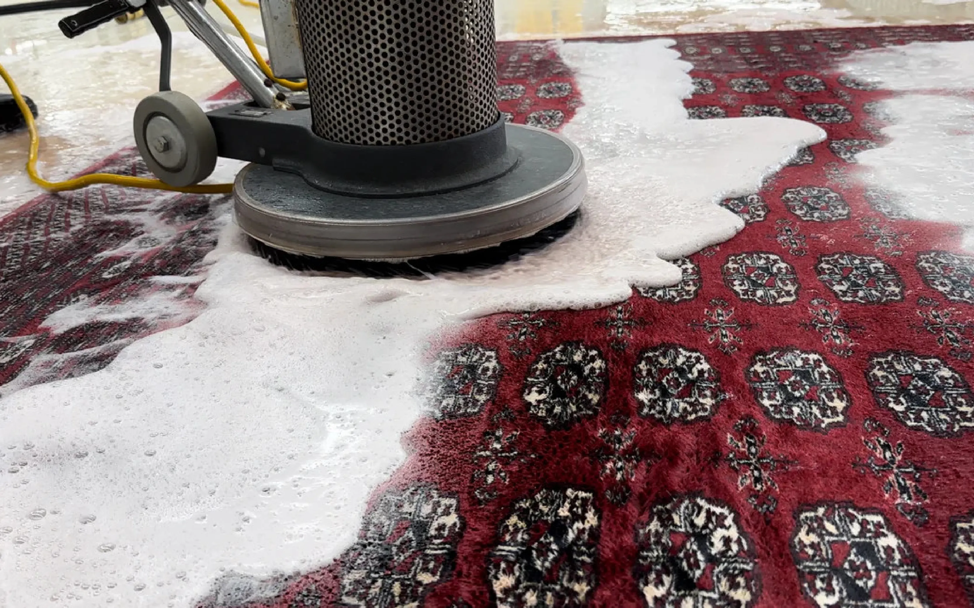 carpet cleaning in queens, carpet cleaning queens, carpet cleaners in queens, carpet cleaners in queens, commercial carpet cleaning, commercial carpet cleaning in queens, queens rug cleaners, rug cleaning services in queens, same day carpet cleaning, same day rug cleaning in queens