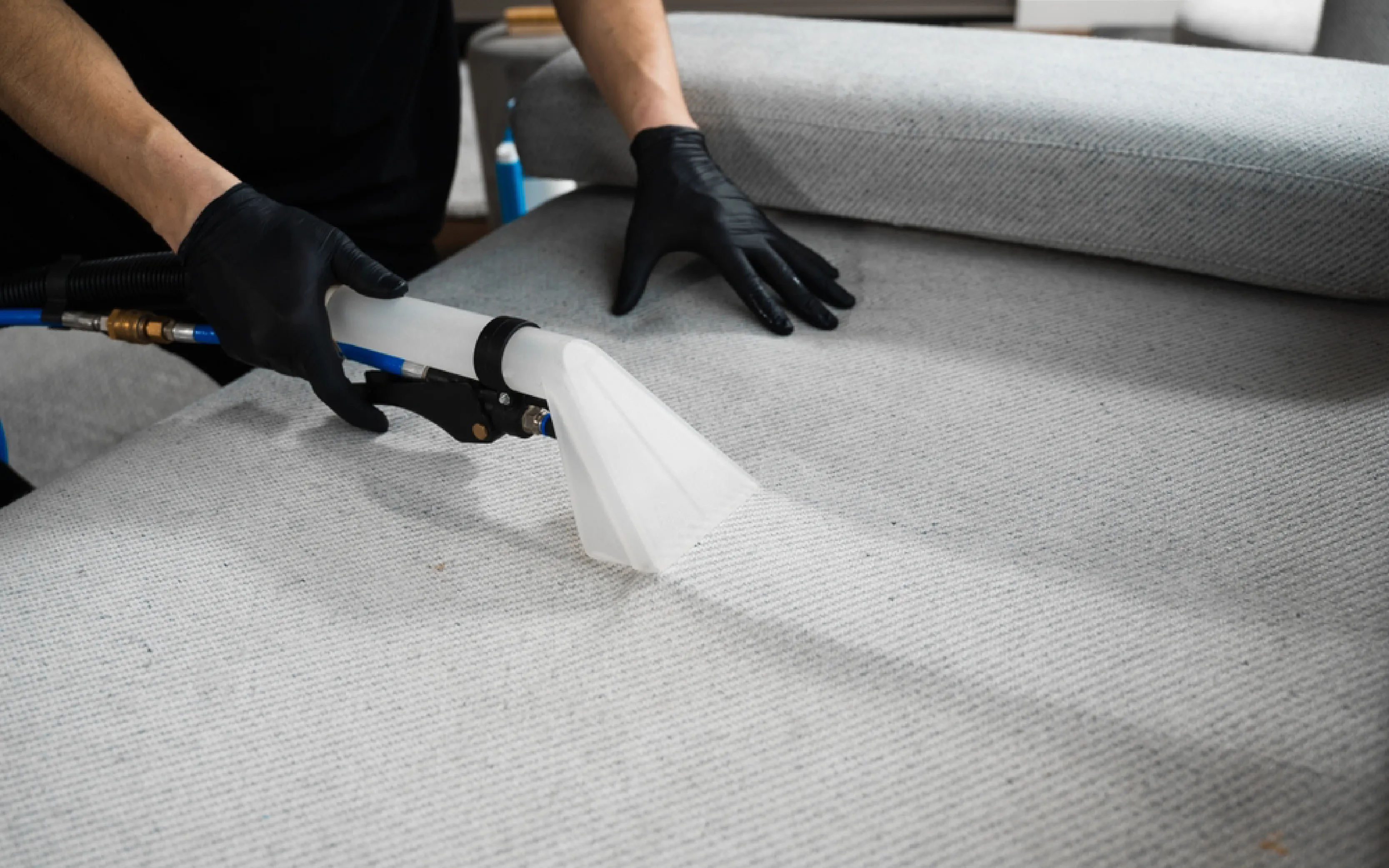 carpet cleaning in queens, carpet cleaning queens, carpet cleaners in queens, carpet cleaners in queens, commercial carpet cleaning, commercial carpet cleaning in queens, queens rug cleaners, rug cleaning services in queens, same day carpet cleaning, same day rug cleaning in queens