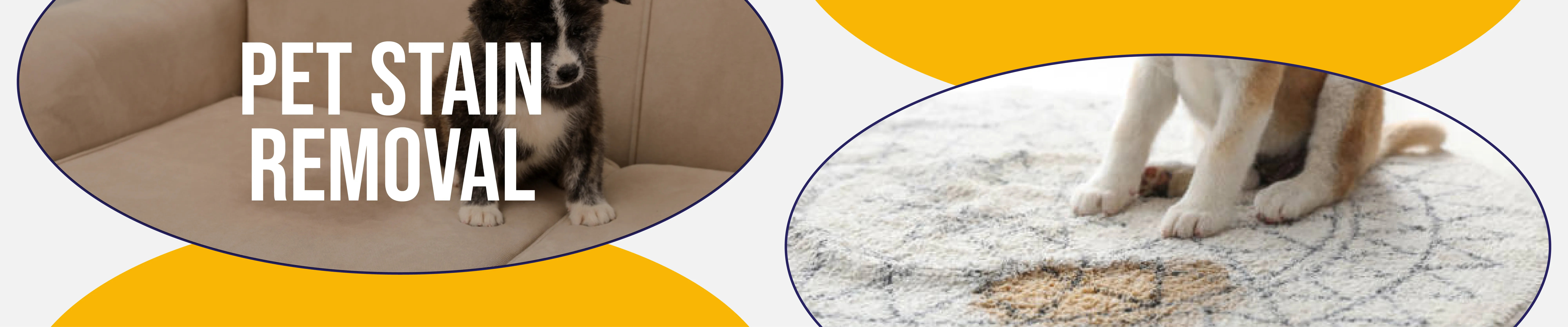 carpet cleaning in new york, carpet cleaning new york, carpet cleaners in new york, carpet cleaners in new york, commercial carpet cleaning, commercial carpet cleaning in new york, new york rug cleaners, rug cleaning services in new york, same day carpet cleaning, same day rug cleaning in new york
