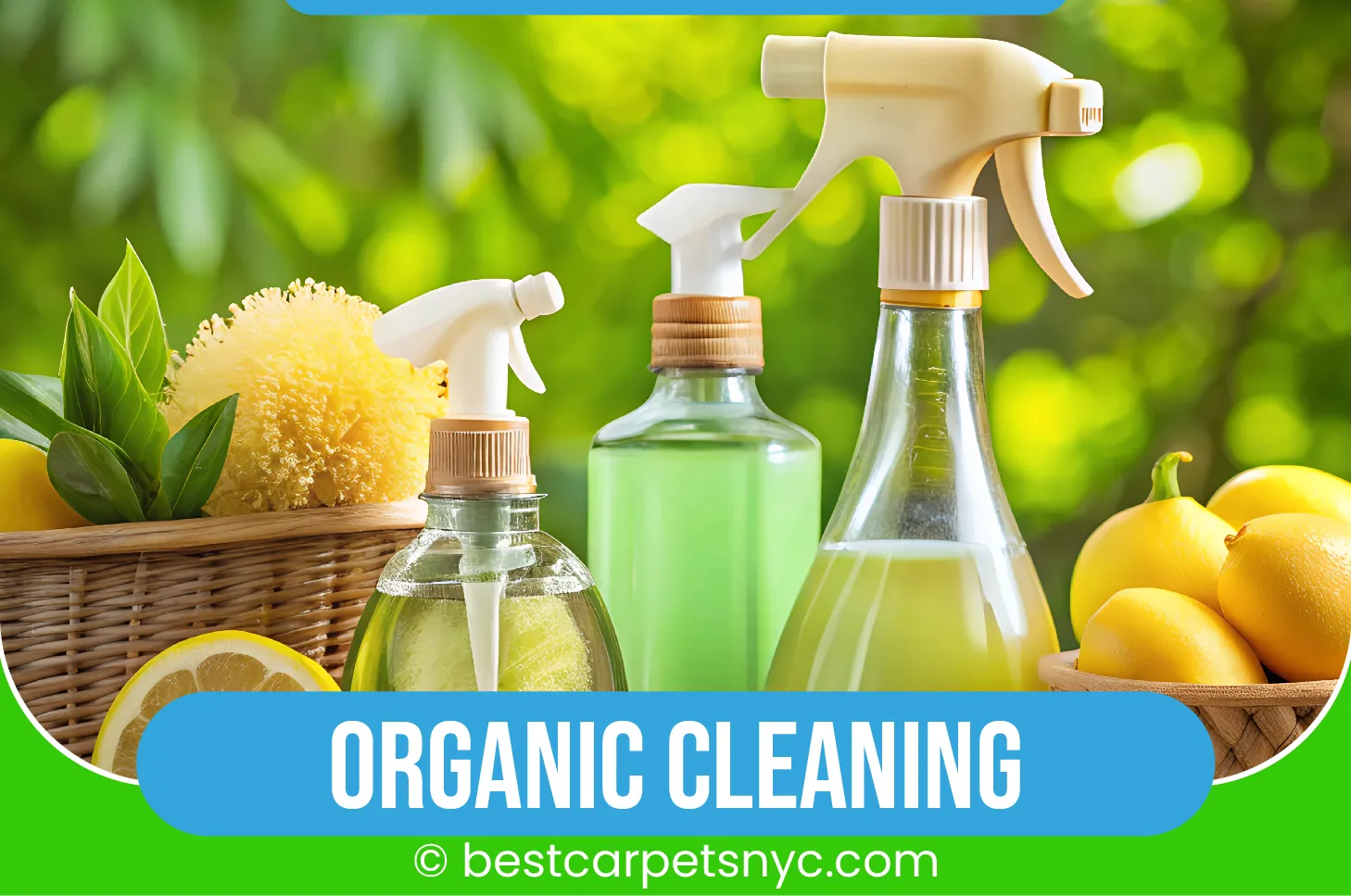 carpet cleaning in NYC, carpet cleaning in new york, carpet cleaning NYC, carpet cleaners in NYC, carpet cleaners in new york, commercial carpet cleaning, commercial carpet cleaning in NYC, NYC rug cleaners, rug cleaning services in NYC, same day carpet cleaning, same day rug cleaning