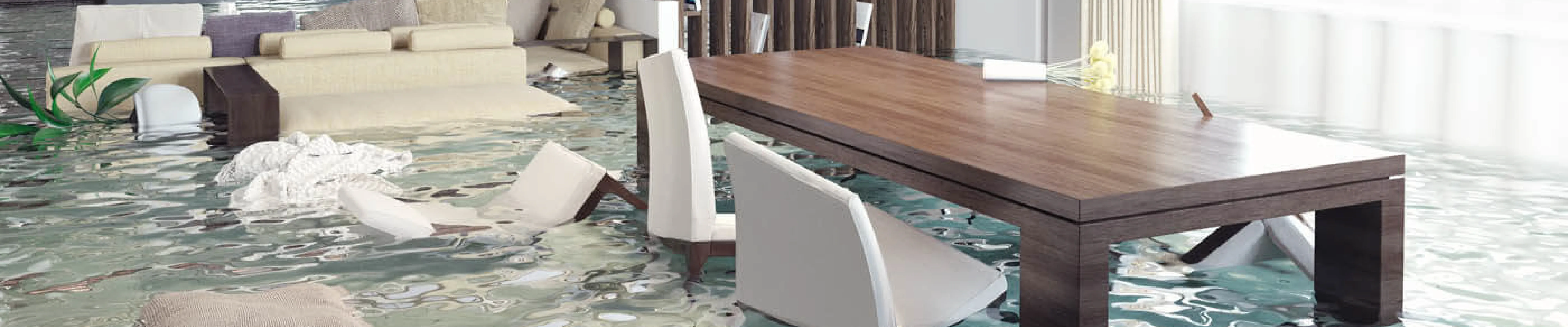carpet cleaners in Brooklyn, carpet cleaning in Brooklyn, carpet cleaning bkln, carpet cleaners in brooklyn,  commercial carpet cleaning, commercial carpet cleaning in brooklyn,carpet cleaning in brooklyn,  brooklyn rug cleaners, rug cleaning services in brooklyn, same day carpet cleaning, same day rug cleaning