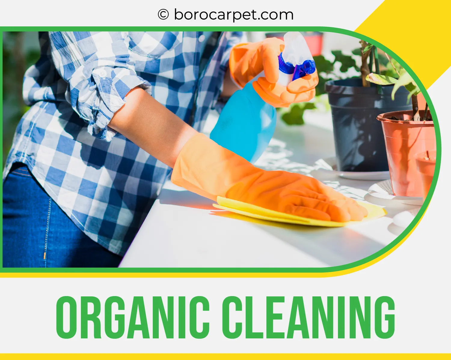 carpet cleaners in Brooklyn, carpet cleaning in Brooklyn, carpet cleaning bkln, carpet cleaners in brooklyn,  commercial carpet cleaning, commercial carpet cleaning in brooklyn,carpet cleaning in brooklyn,  brooklyn rug cleaners, rug cleaning services in brooklyn, same day carpet cleaning, same day rug cleaning