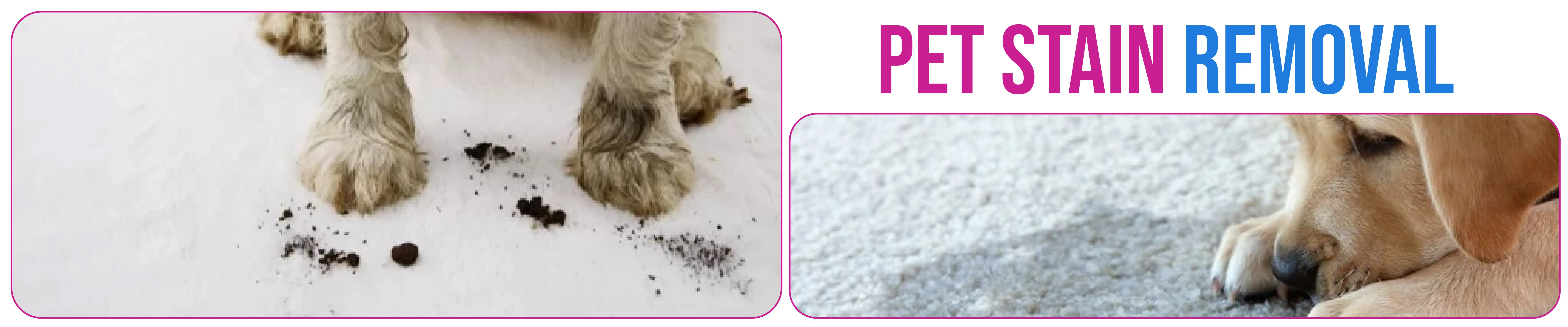 carpet cleaning in brooklyn, carpet cleaning in brooklyn, carpet cleaning brooklyn, carpet cleaners in brooklyn, carpet cleaners in brooklyn, commercial carpet cleaning, commercial carpet cleaning in brooklyn, brooklyn rug cleaners, rug cleaning services in brooklyn, same day carpet cleaning, same day rug cleaning