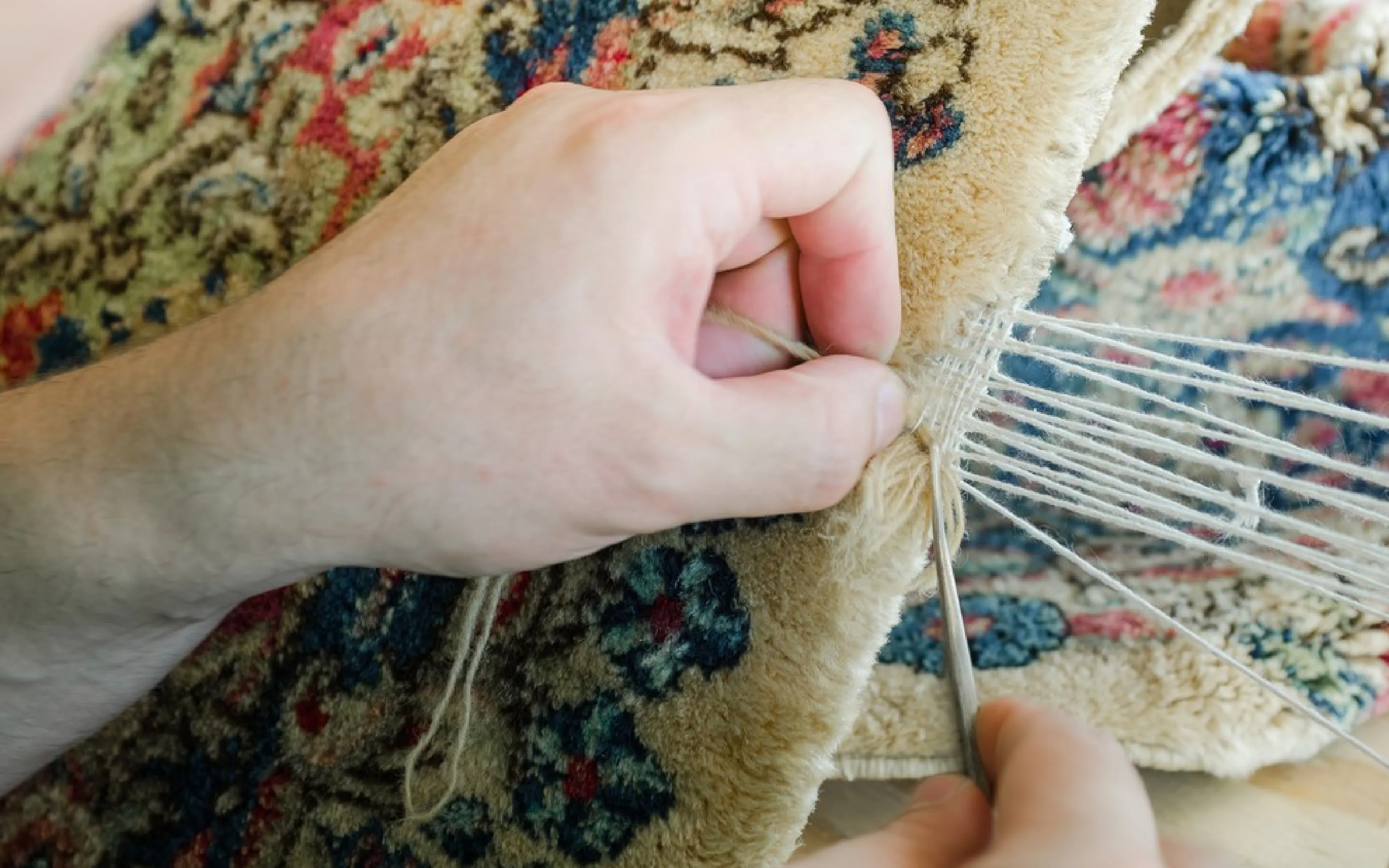 carpet cleaning in new york, carpet cleaning new york, carpet cleaners in new york, carpet cleaners in new york, commercial carpet cleaning, commercial carpet cleaning in new york, new york rug cleaners, rug cleaning services in new york, same day carpet cleaning, same day rug cleaning in new york