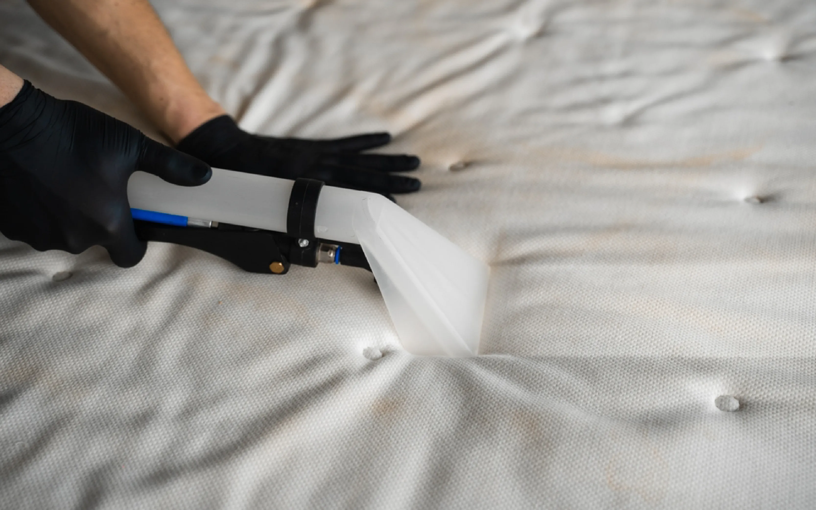 carpet cleaning in new york, carpet cleaning new york, carpet cleaners in new york, carpet cleaners in new york, commercial carpet cleaning, commercial carpet cleaning in new york, new york rug cleaners, rug cleaning services in new york, same day carpet cleaning, same day rug cleaning in new york