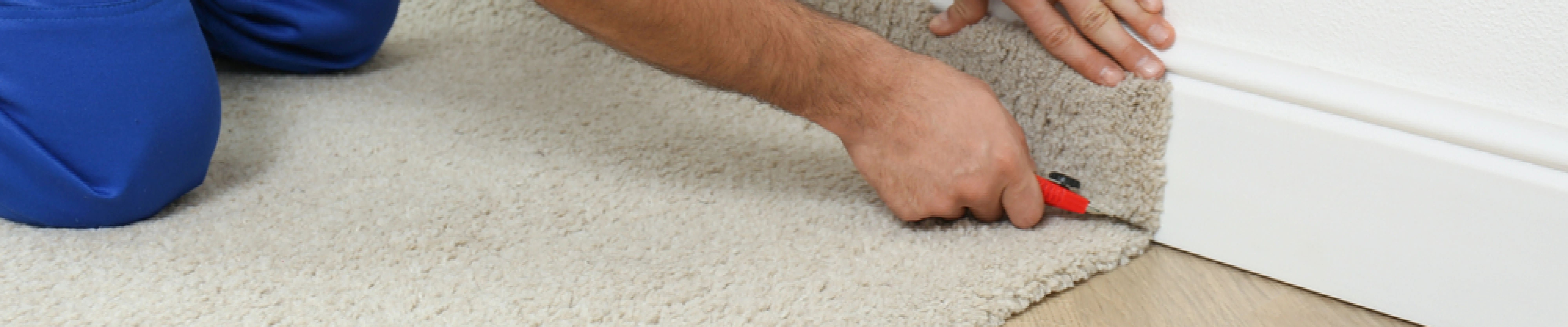 carpet cleaning in new york, carpet cleaning new york, carpet cleaners in new york, carpet cleaners in new york, commercial carpet cleaning, commercial carpet cleaning in new york, new york rug cleaners, rug cleaning services in new york, same day carpet cleaning, same day rug cleaning in new york