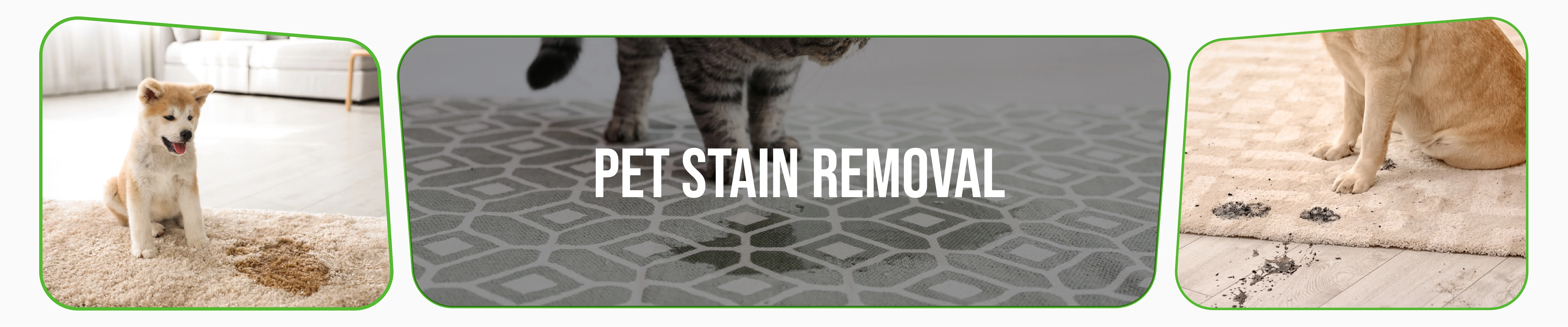 carpet cleaning in NYC, carpet cleaner in NYC, carpet cleaners in NYC, carpet cleaners in NYC, drapery cleaners in NYC, carpet cleaning in NYC, mattress cleaning in NYC, mattress cleaners in NYC, commercial carpet cleaning, commercial carpet cleaners in NYC, NYC rug cleaners, rug cleaning services in NYC same day carpet cleaning, same day rug cleaning