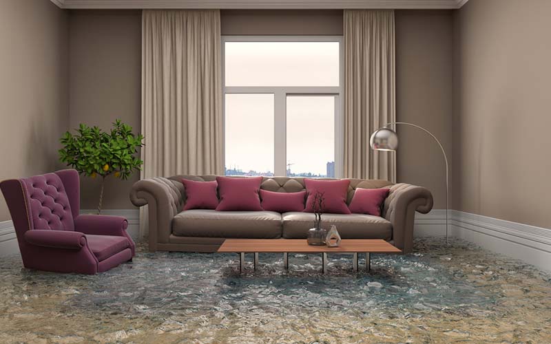 carpet cleaning in bronx, carpet cleaning in Bronx, carpet cleaning bronx, carpet cleaners in brooklyn, carpet cleaners in Bronx, commercial carpet cleaning, commercial carpet cleaning in bronx, bronx rug cleaners, rug cleaning services in bronx same day carpet cleaning, same day rug cleaning