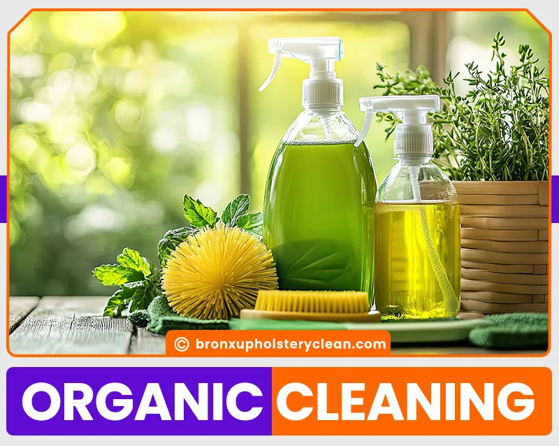 carpet cleaning in bronx, carpet cleaning in new york, carpet cleaning bronx, carpet cleaners in bronx, carpet cleaners in new york, commercial carpet cleaning, commercial carpet cleaning in bronx, bronx rug cleaners, rug cleaning services in bronx, same day carpet cleaning, same day rug cleaning