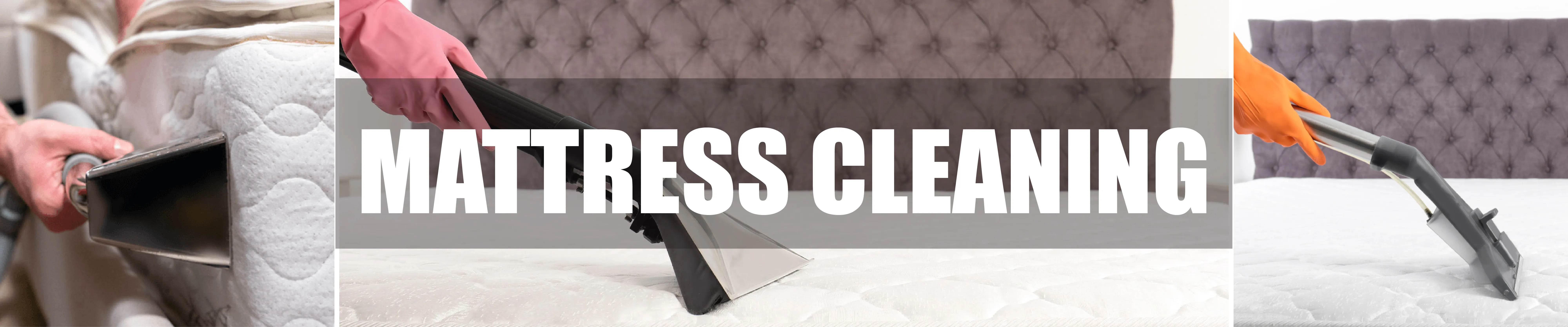 carpet cleaning in brooklyn, carpet cleaning in brooklyn, carpet cleaning brooklyn, carpet cleaners in brooklyn, carpet cleaners in brooklyn, commercial carpet cleaning, commercial carpet cleaning in brooklyn, brooklyn rug cleaners, rug cleaning services in brooklyn, same day carpet cleaning, same day rug cleaning