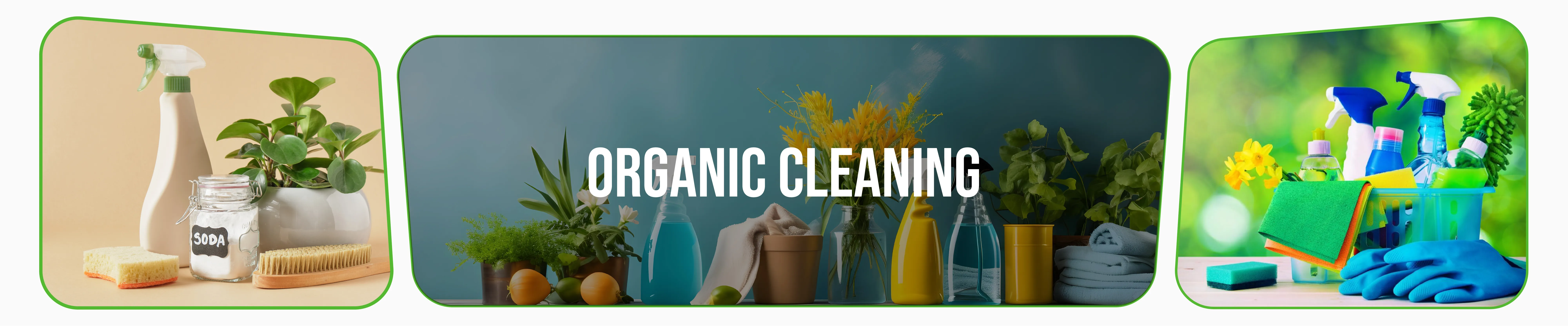 carpet cleaning in brooklyn, carpet cleaning in brooklyn, carpet cleaning brooklyn, carpet cleaners in brooklyn, carpet cleaners in brooklyn, commercial carpet cleaning, commercial carpet cleaning in brooklyn, brooklyn rug cleaners, rug cleaning services in brooklyn, same day carpet cleaning, same day rug cleaning