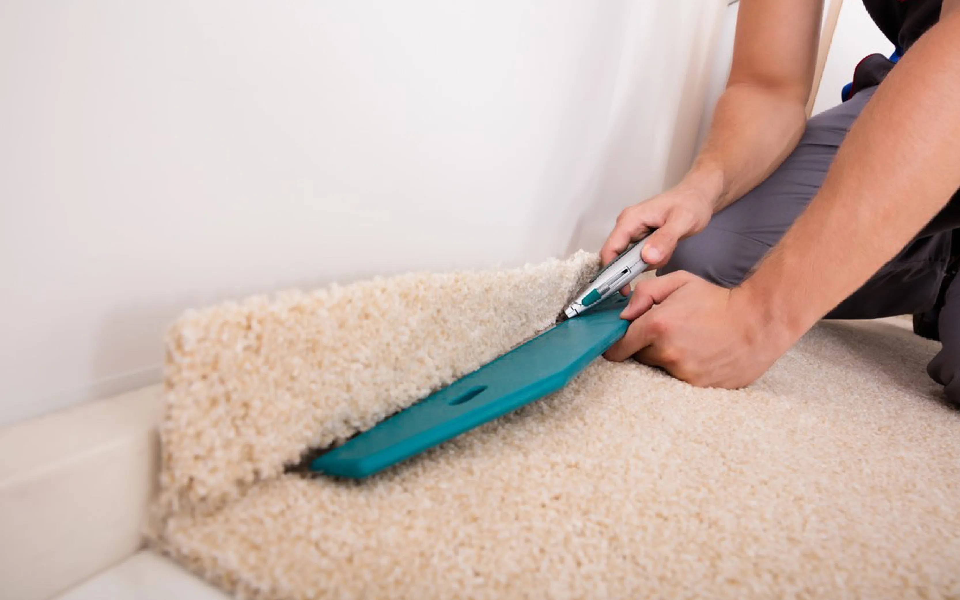 carpet cleaning in brooklyn, carpet cleaning in brooklyn, carpet cleaning brooklyn, carpet cleaners in brooklyn, carpet cleaners in brooklyn, commercial carpet cleaning, commercial carpet cleaning in brooklyn, brooklyn rug cleaners, rug cleaning services in brooklyn, same day carpet cleaning, same day rug cleaning