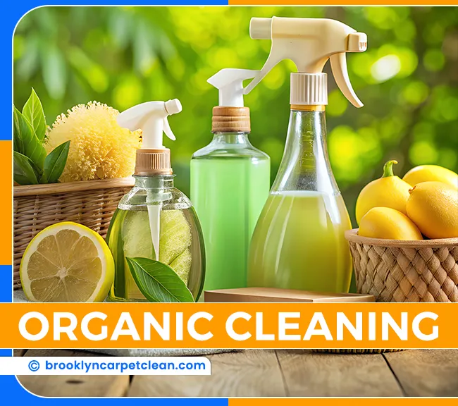 carpet cleaning in brooklyn, carpet cleaning in new york, carpet cleaning brooklyn, carpet cleaners in brooklyn, carpet cleaners in new york, commercial carpet cleaning, commercial carpet cleaning in brooklyn, brooklyn rug cleaners, rug cleaning services in brooklyn, same day carpet cleaning, same day rug cleaning