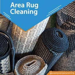 carpet cleaning in brooklyn, carpet cleaning in new york, carpet cleaning brooklyn, carpet cleaners in brooklyn, carpet cleaners in new york, commercial carpet cleaning, commercial carpet cleaning in brooklyn, brooklyn rug cleaners, rug cleaning services in brooklyn, same day carpet cleaning, same day rug cleaning