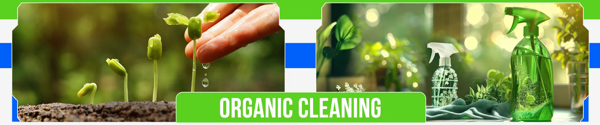 carpet cleaning in NY, carpet cleaning in new york, carpet cleaning NY, carpet cleaners in NY, carpet cleaners in new york, commercial carpet cleaning, commercial carpet cleaning in NY, NY rug cleaners, rug cleaning services in NY, same day carpet cleaning, same day rug cleaning