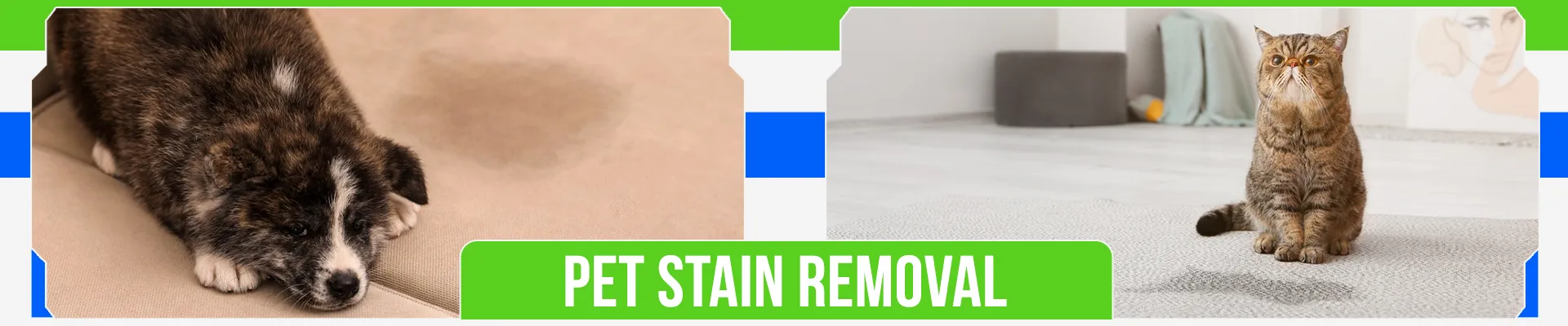 carpet cleaning in NY, carpet cleaning in new york, carpet cleaning NY, carpet cleaners in NY, carpet cleaners in new york, commercial carpet cleaning, commercial carpet cleaning in NY, NY rug cleaners, rug cleaning services in NY, same day carpet cleaning, same day rug cleaning