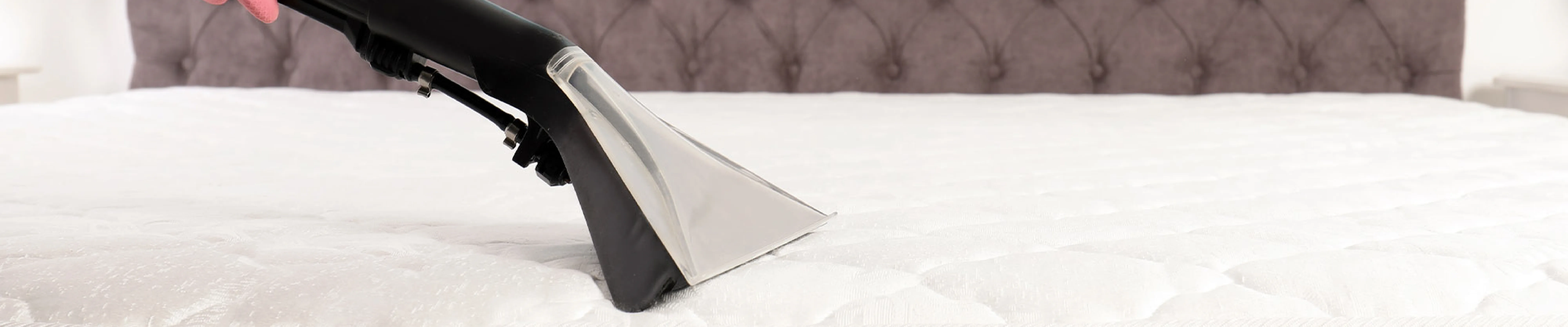 carpet cleaning in new jersey, carpet cleaning new jersey, carpet cleaners in new jersey, carpet cleaners in new jersey, commercial carpet cleaning, commercial carpet cleaning in new jersey, new jersey rug cleaners, rug cleaning services in new jersey, same day carpet cleaning, same day rug cleaning in new jersey, carpet cleaning in nj, carpet cleaning nj, carpet cleaners in nj, carpet cleaners in nj, commercial carpet cleaning, commercial carpet cleaning in nj, nj rug cleaners, rug cleaning services in nj, same day carpet cleaning, same day rug cleaning in nj