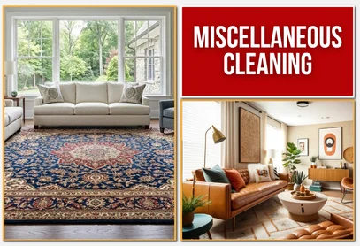 Miscellaneous Services