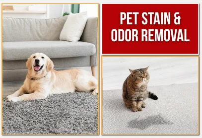 Pet Stain and Odor Removal