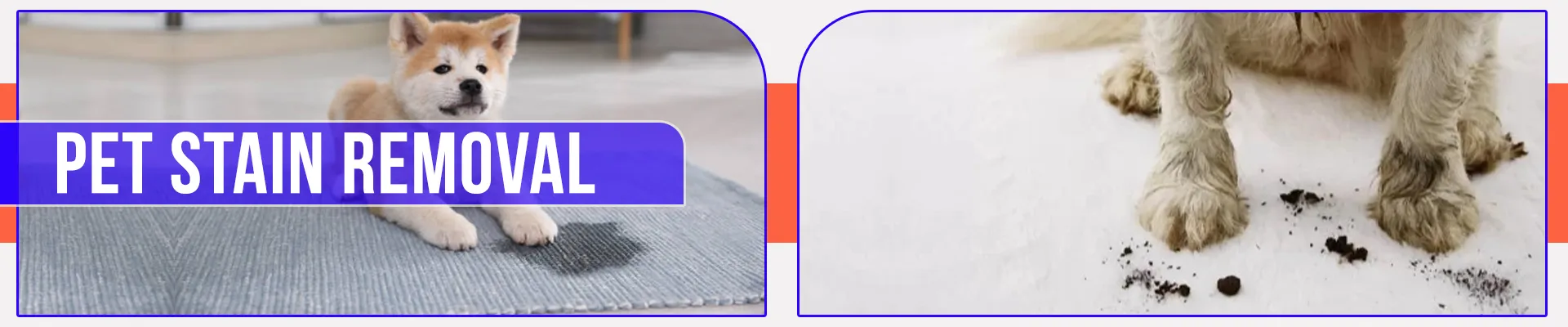 carpet cleaning in manhattan, carpet cleaning manhattan, carpet cleaners in manhattan, carpet cleaners in manhattan, commercial carpet cleaning, commercial carpet cleaning in manhattan, manhattan rug cleaners, rug cleaning services in manhattan, same day carpet cleaning, same day rug cleaning in manhattan