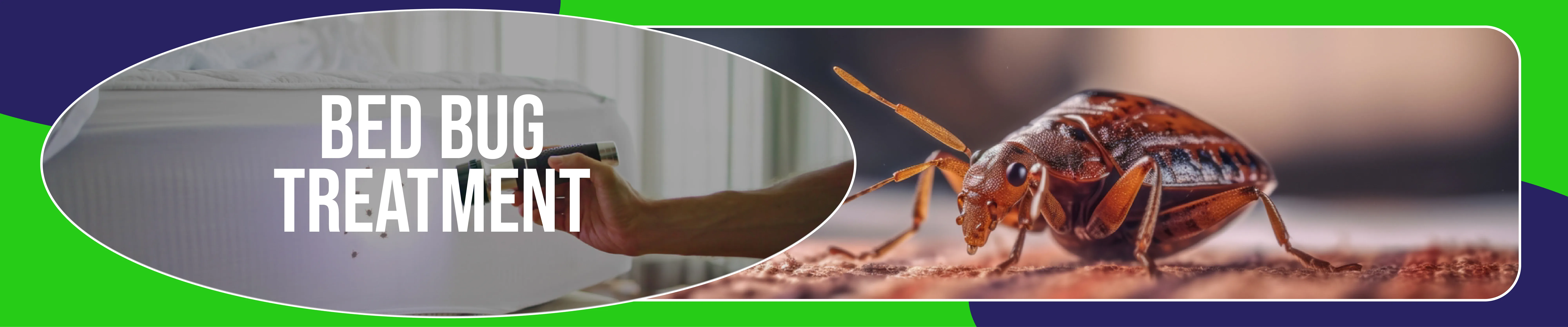 carpet cleaning in NYC, carpet cleaning in new york, carpet cleaning NYC, carpet cleaners in NYC, carpet cleaners in new york, commercial carpet cleaning, commercial carpet cleaning in NYC, NYC rug cleaners, rug cleaning services in NYC, same day carpet cleaning, same day rug cleaning