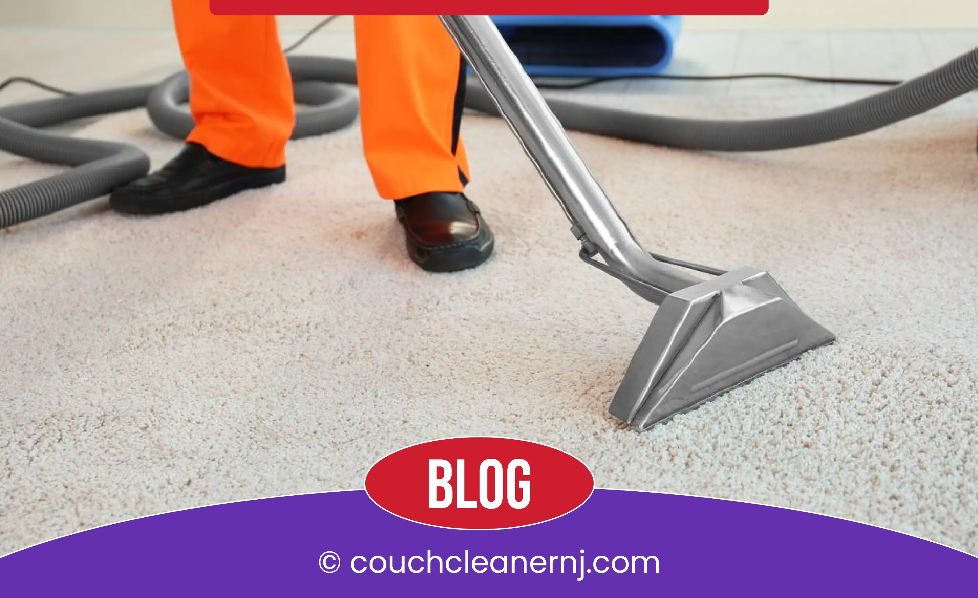 carpet cleaning in new jersey, carpet cleaning new jersey, carpet cleaners in new jersey, carpet cleaners in new jersey, commercial carpet cleaning, commercial carpet cleaning in new jersey, new jersey rug cleaners, rug cleaning services in new jersey, same day carpet cleaning, same day rug cleaning in new jersey, carpet cleaning in nj, carpet cleaning nj, carpet cleaners in nj, carpet cleaners in nj, commercial carpet cleaning, commercial carpet cleaning in nj, nj rug cleaners, rug cleaning services in nj, same day carpet cleaning, same day rug cleaning in nj