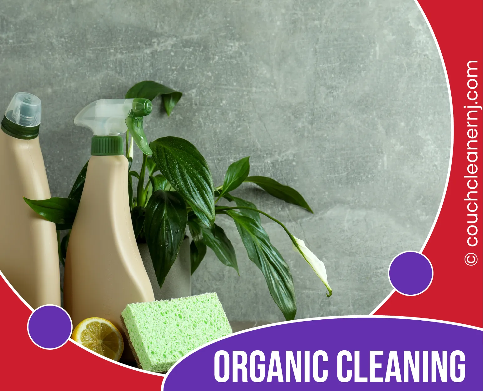 carpet cleaning in new jersey, carpet cleaning new jersey, carpet cleaners in new jersey, carpet cleaners in new jersey, commercial carpet cleaning, commercial carpet cleaning in new jersey, new jersey rug cleaners, rug cleaning services in new jersey, same day carpet cleaning, same day rug cleaning in new jersey, carpet cleaning in nj, carpet cleaning nj, carpet cleaners in nj, carpet cleaners in nj, commercial carpet cleaning, commercial carpet cleaning in nj, nj rug cleaners, rug cleaning services in nj, same day carpet cleaning, same day rug cleaning in nj