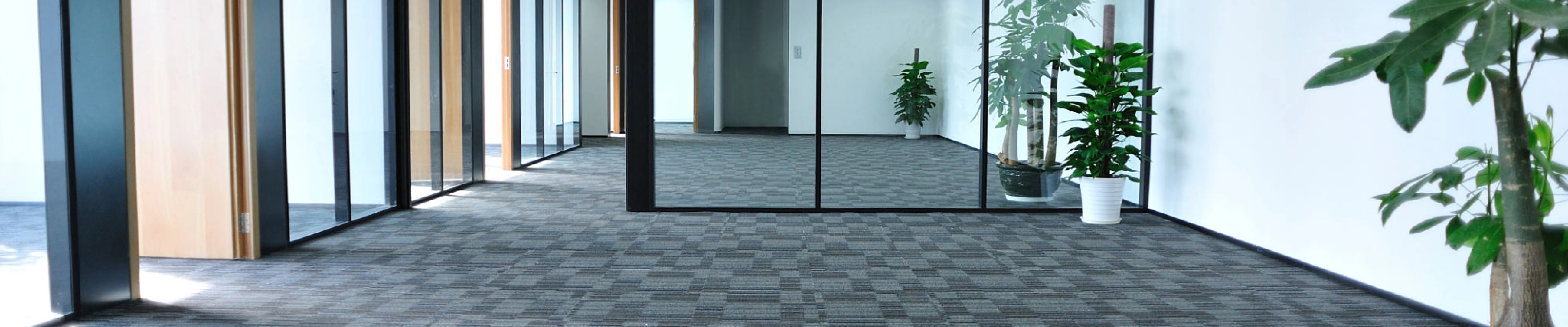 carpet cleaning in new jersey, carpet cleaning in new jersey, carpet cleaning new jersey, carpet cleaners in new jersey, carpet cleaners in new jersey, commercial carpet cleaning, commercial carpet cleaning in new jersey, new jersey rug cleaners, rug cleaning services in new jersey, same day carpet cleaning, same day rug cleaning