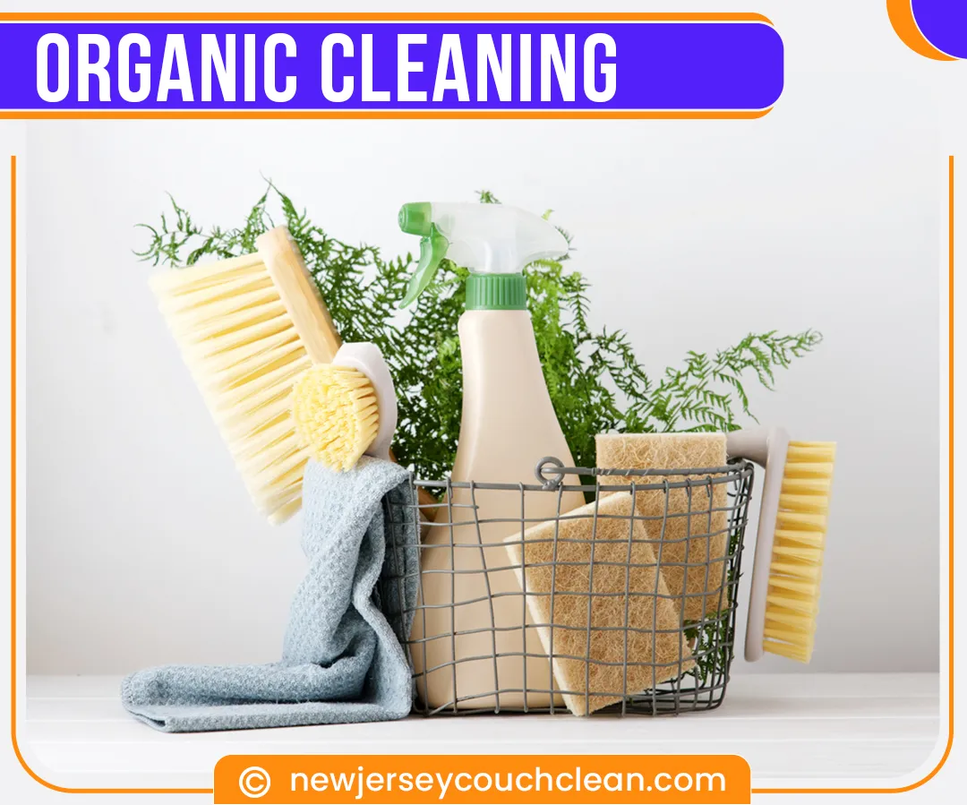 carpet cleaning in new jersey, carpet cleaning in new jersey, carpet cleaning new jersey, carpet cleaners in new jersey, carpet cleaners in new jersey, commercial carpet cleaning, commercial carpet cleaning in new jersey, new jersey rug cleaners, rug cleaning services in new jersey, same day carpet cleaning, same day rug cleaning 